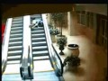 Epic fail - a best of compilation