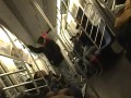 Krótki wykład w metrze
