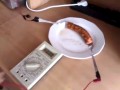 Kiełbasa po studencku