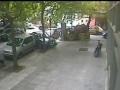 Kobiety - kierowcy, zagrożenie na drogach