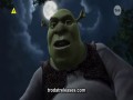 Shrek ma wielkie oczy 1