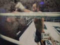 KSW Extra 2 - President Cup