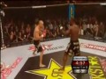 Nokaut roku 2010 w MMA