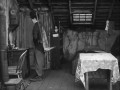 The Kid - Charlie Chaplin