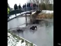 Zimowe porażki