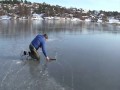 Szalony, norweski mors