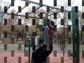 Calisthenics workout
