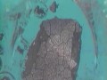 Narodziny Ziemi 4