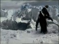 Guinness Penguins