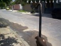 Funny pic