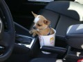 Funny pic