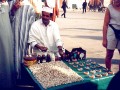 Funny pic