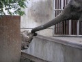 Funny pic