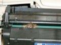 Funny pic