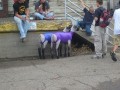 Funny pic
