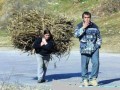 Funny pic