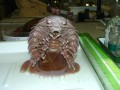 Funny pic