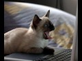 Funny pic