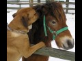 Funny pic