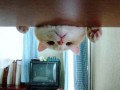 Funny pic