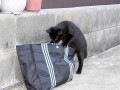 Funny pic