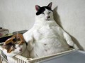 Funny pic