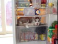 Funny pic