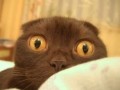 Funny pic