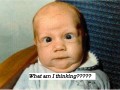 Funny pic
