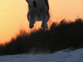 Funny pic