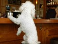 Funny pic