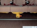Funny pic