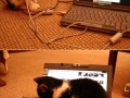 Funny pic
