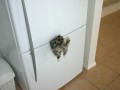 Funny pic