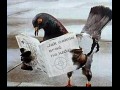 Funny pic