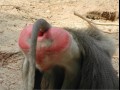 Funny pic