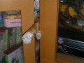 Funny pic