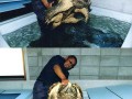 Funny pic