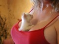 Funny pic