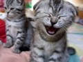 Funny pic
