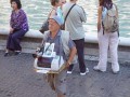Funny pic