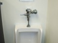 Funny pic