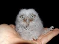 Funny pic