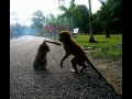 Funny pic