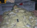 Funny pic
