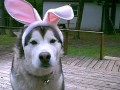 Funny pic