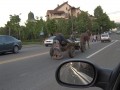 Funny pic