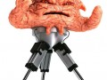 Funny pic