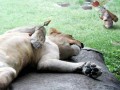 Funny pic