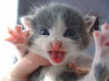 Funny pic